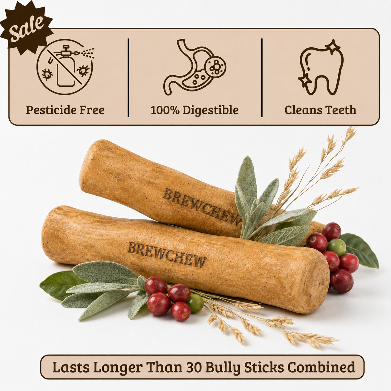 BrewChew™ Coffee Wood Chew