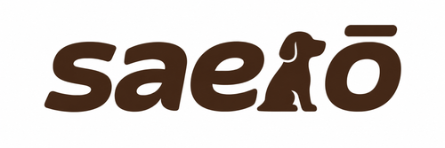 Saero
