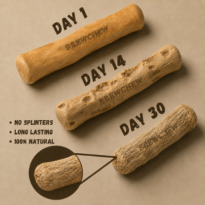 BrewChew™ Coffee Wood Chew